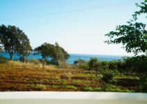 Gardenview2