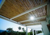 terrace (1)